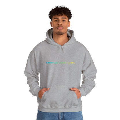 Spiritual Level 1000% psychedelic Hooded Sweatshirt